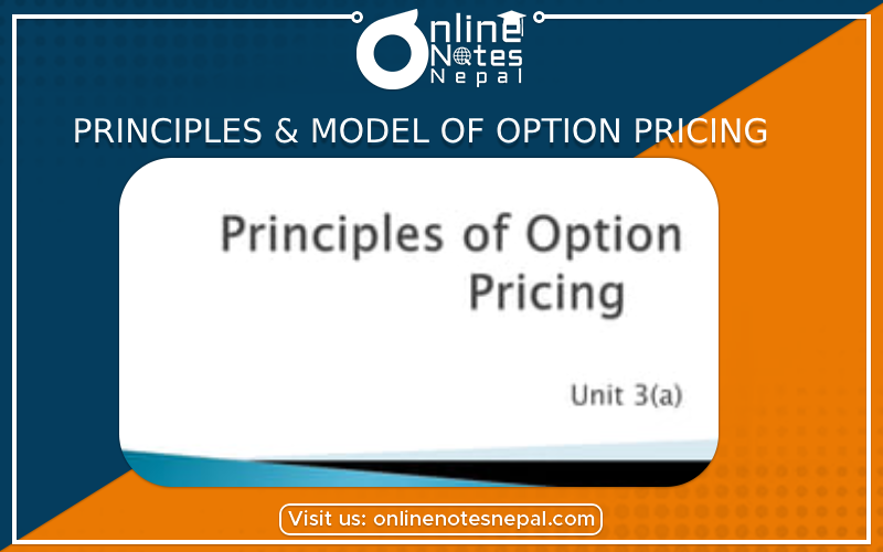 principles & Model of Option Pricing